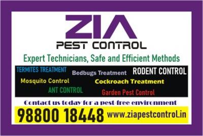 Say goodbye to pest | Zia Pest Control | enjoy a pest-free environment